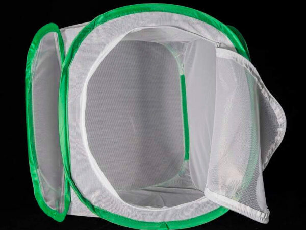 small butterfly cage