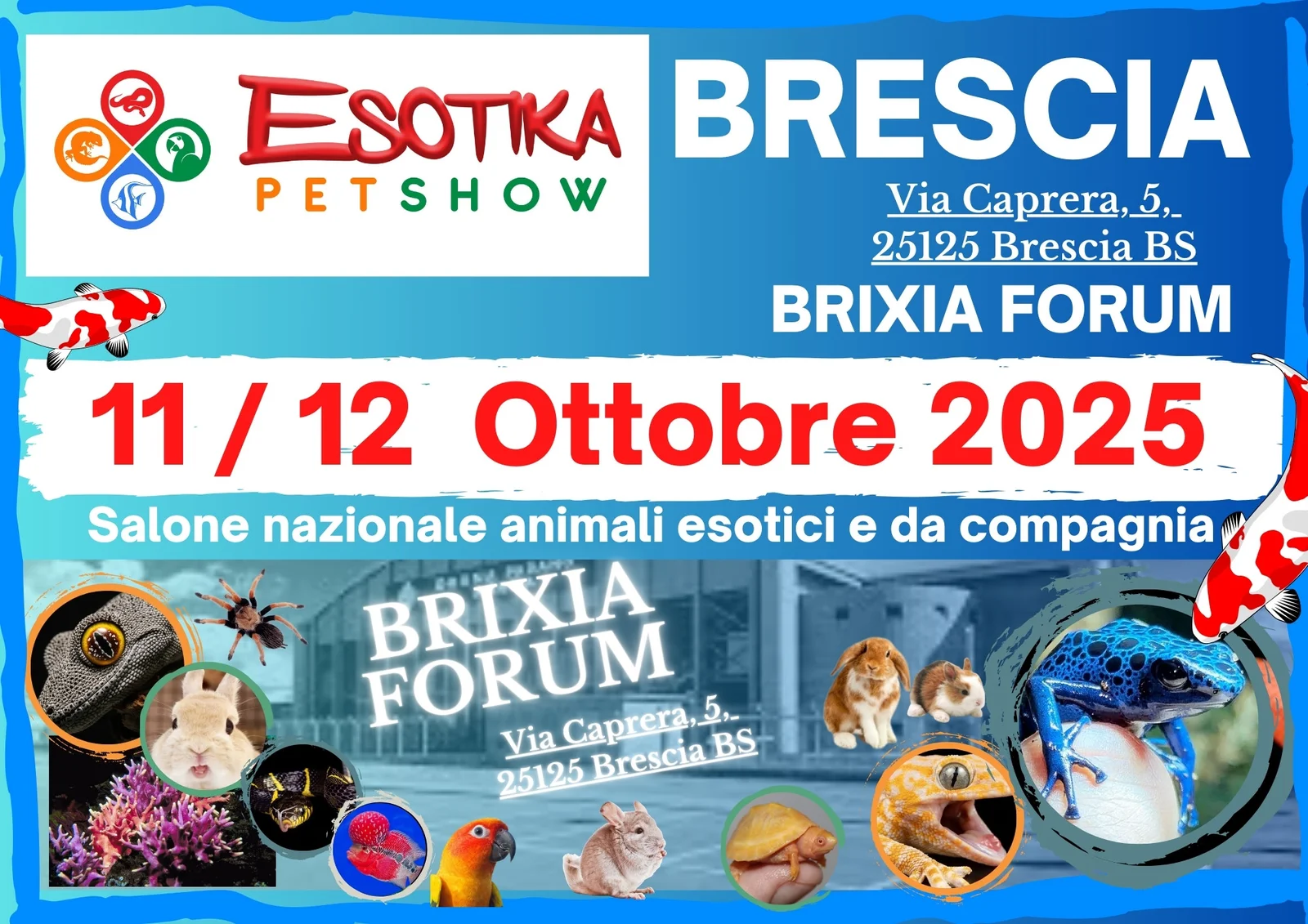 Brescia-10-25