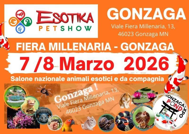 Esotika Pet Show Gonzaga