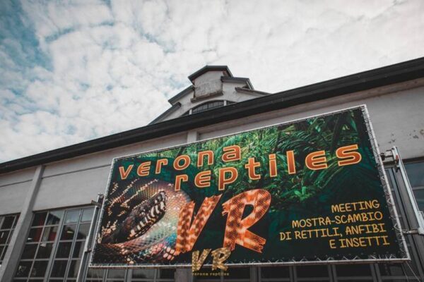 Verona Reptiles Spring 2026