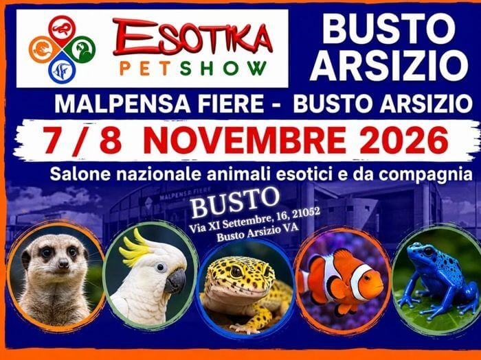 Fiera insetti