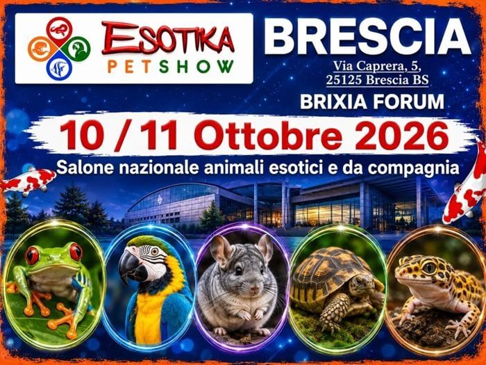 Acquista insetti esotici