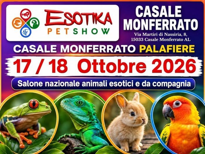 Insetti esotici