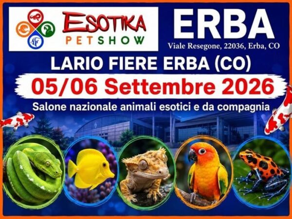 Esotika Erba