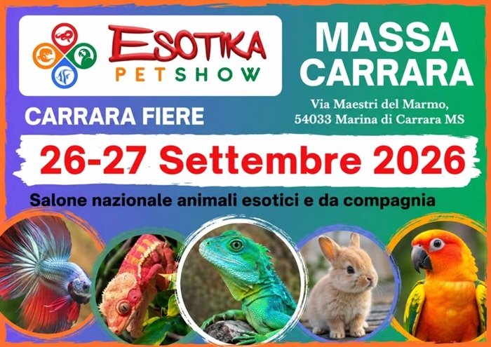 exotic animal show